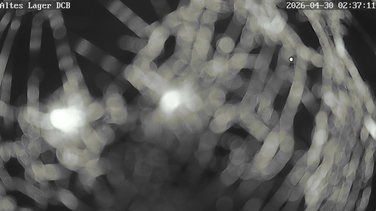 Aktuelles Bild der Webcam